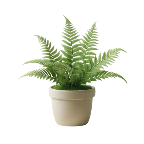 Product 7