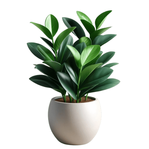 Product 8